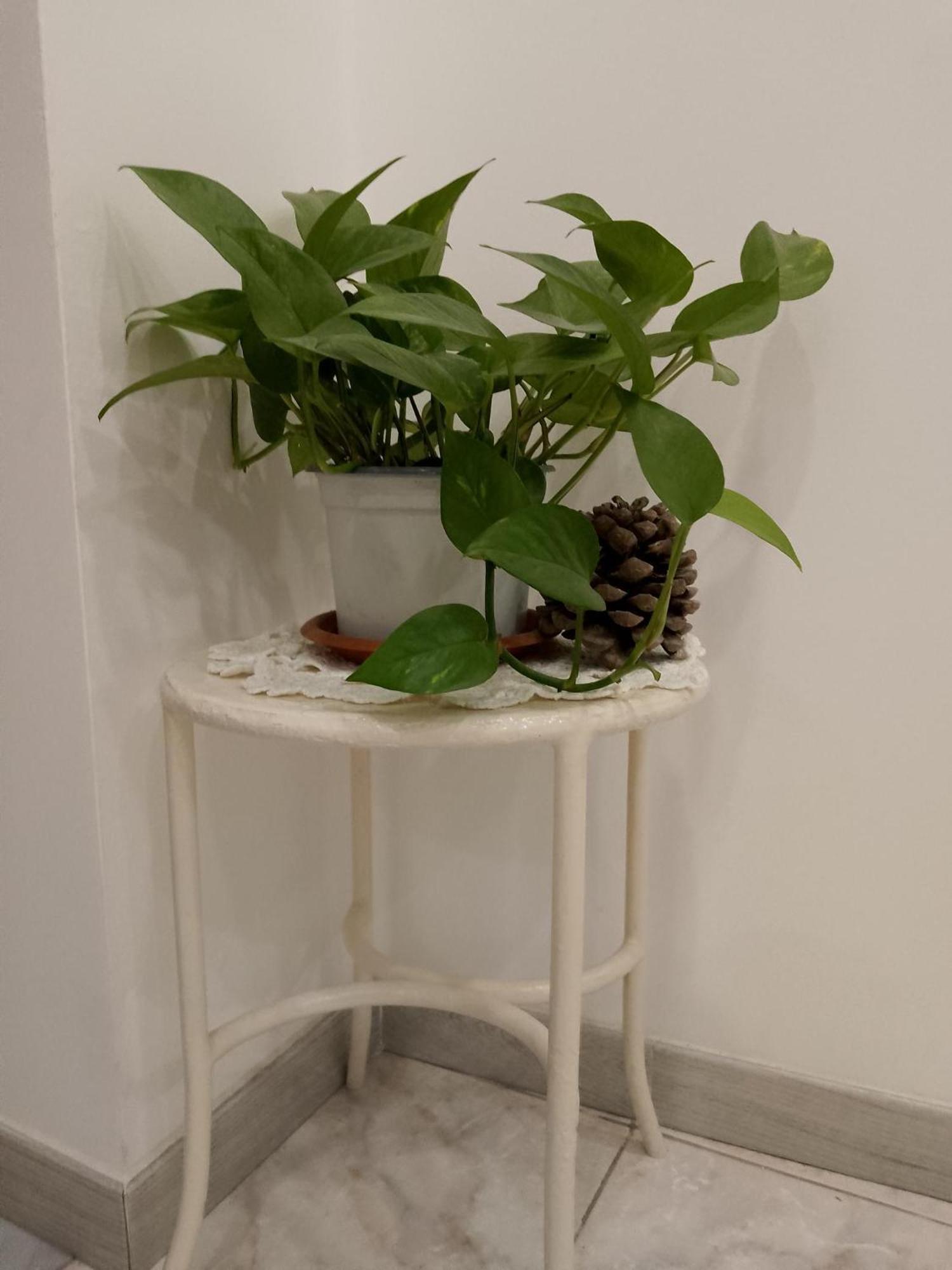 Le Casette Di Nonna Rosa In Fontanarossa Catania Airport Extérieur photo